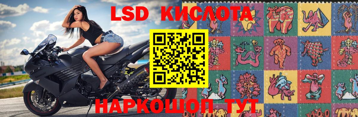 Наркотические марки 1,5мг  Наркотические марки 1,5мг  Вход с VPN  Сертолово 